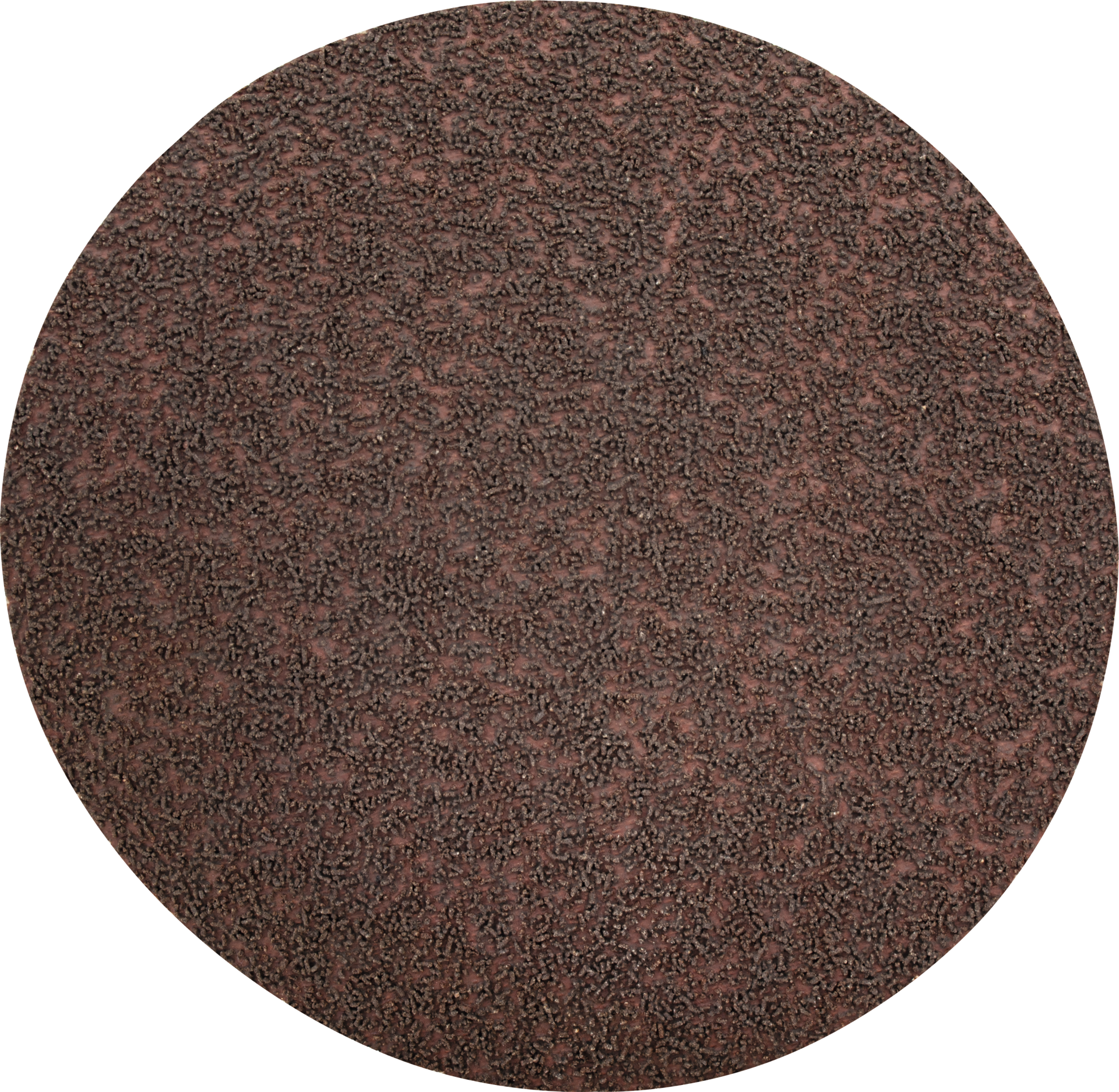 Klettschleifscheibe Kompaktkorn KK772K D125mm K800