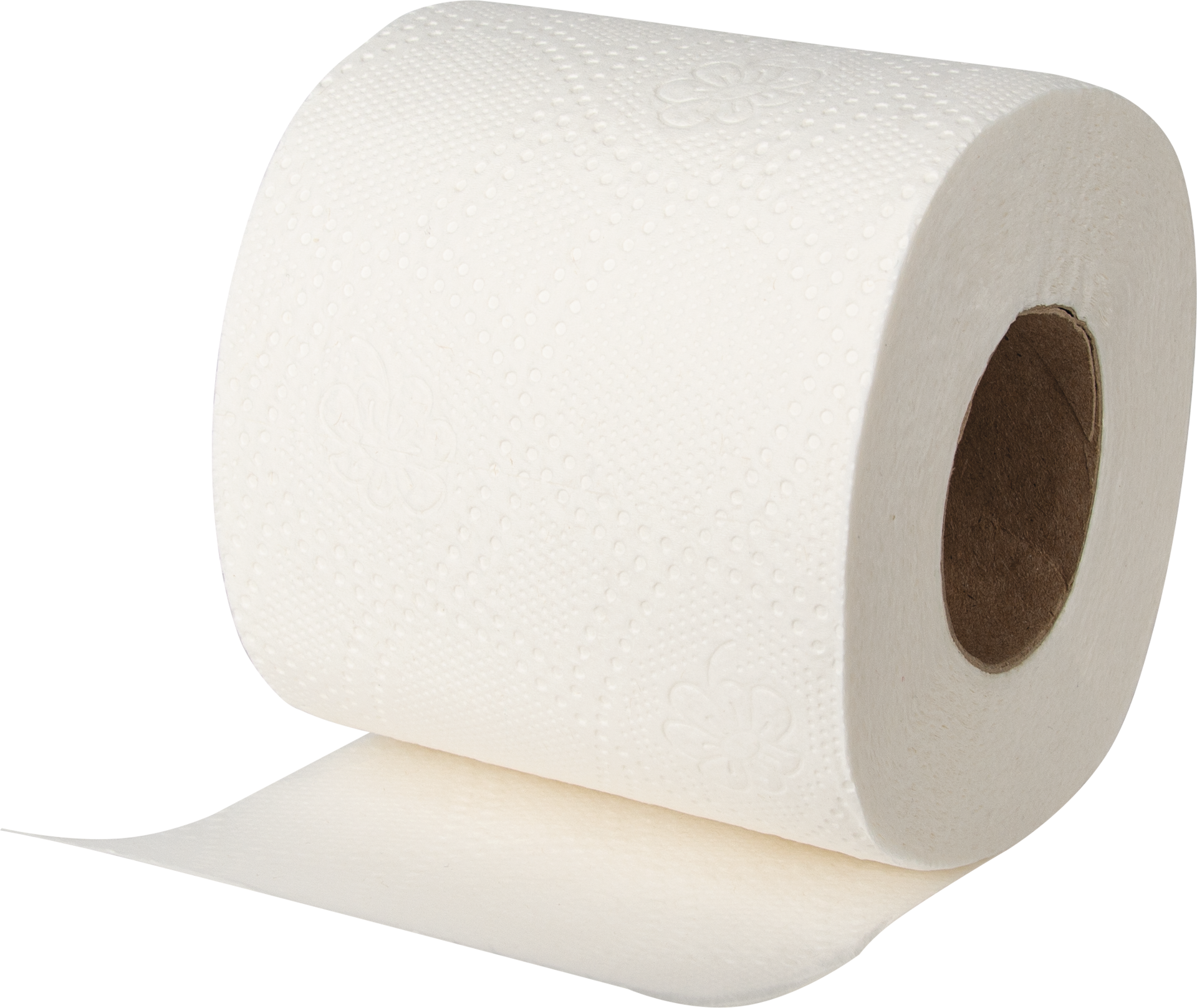 Toilettenpapier weiß 2-lagig 250 Blatt L2,75m B95mm perforiert