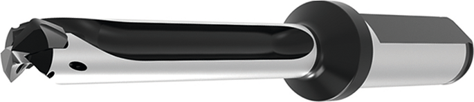 Bohrhalter GEN3SYS™ XT Pro D22-23,99mm 10xD IK gerade Weldon